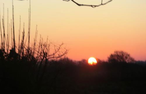 Kastanienhof - Foto 28