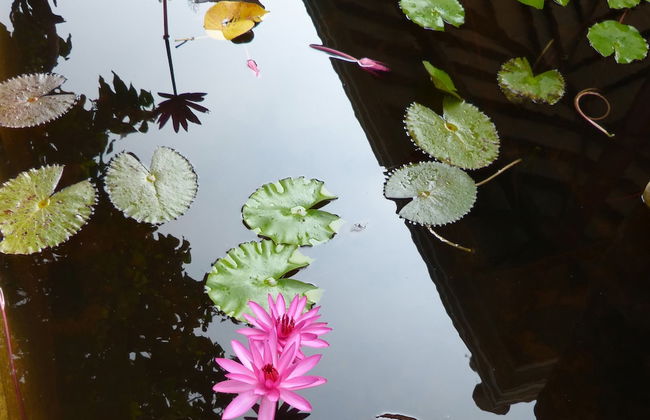 Tropical Dream Villa - Photo 42