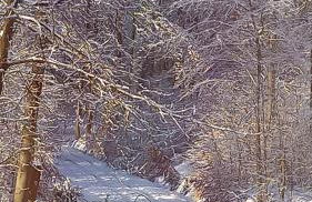 Haus am Wald - Foto 8