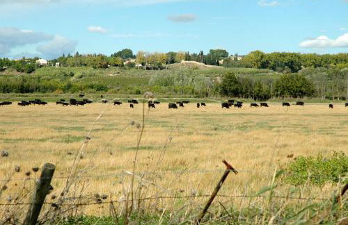 Le Petit Viala - Foto 23