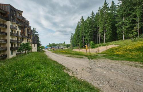 Prapoutel pied des pistes - Foto 17