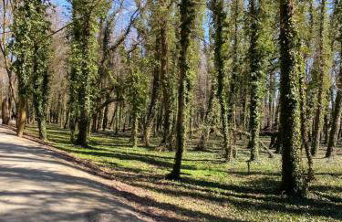 Przy Złotych Piaskach 1 - Foto 55