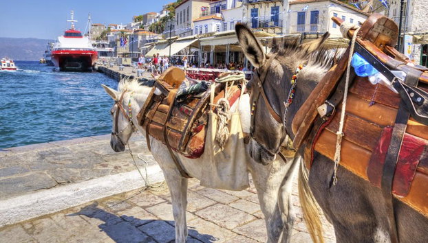 Oferta especial: Poros - Hydre e Egina - Cruzeiro de um dia com almoço - Foto 2