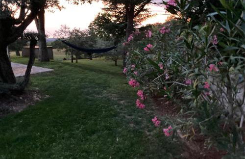 Villa Oliva Istria - Foto 37