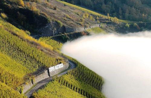 Gästehaus Steuer - Foto 17