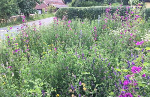 Zirbenholzwohnung Lochau - Foto 31