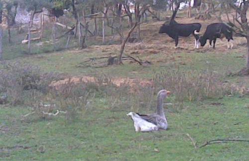 Agriturismo Cisogna - Foto 80