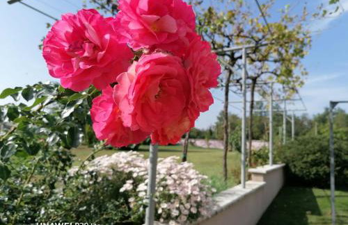 Apartment Borna - Photo 16