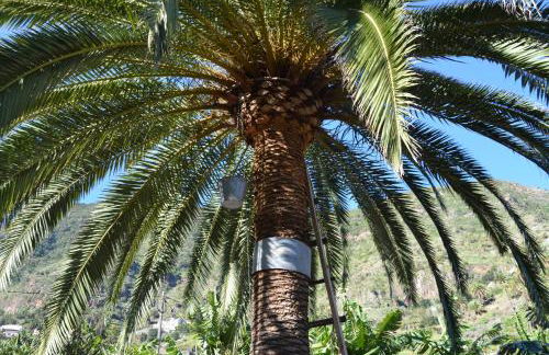 Suites Los Telares - Adults Recommended - Foto 68