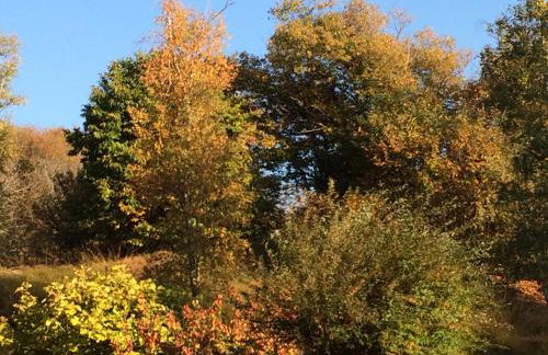 Villino Camparbino vista lago d orta - Foto 12