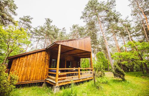 Autumn Nature Cottage Stove Garden by PolandBnB - Foto 52