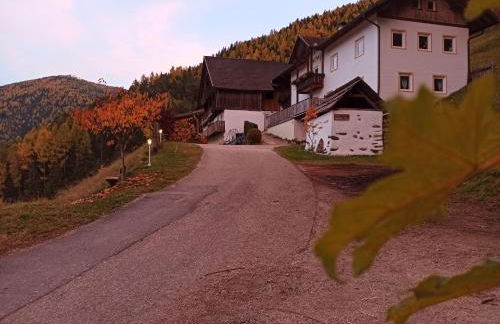 Natur Apartments Riesen - Photo 58