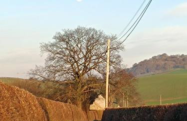 A peaceful cottage in the countryside - Foto 6