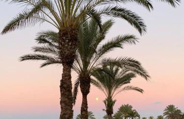 Casa Paraiso - Foto 26