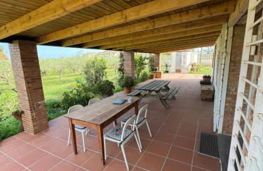 Masia en el Delta del Ebro - Foto 9