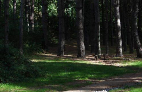 Casa Etrulia - Foto 19