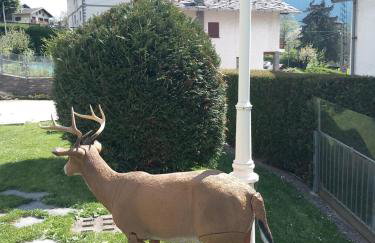 The Green Owl - Foto 4