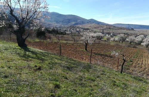 Las 3 Negrillas - Foto 42