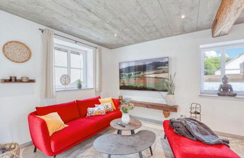 Admiral Vanessa - Foto 5