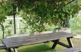 Casa Vacanze Riviera del Brenta - Photo 7