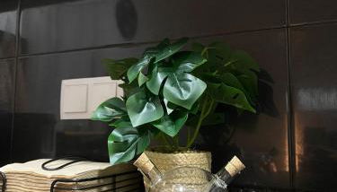 A Janela do Cantinho - Foto 5