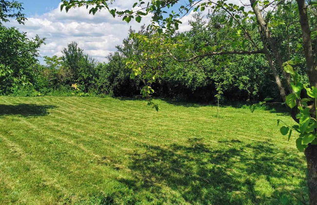 Cozy 1 Bed Cottage in Ognen, Near Karnobat, Burgas - Photo 32