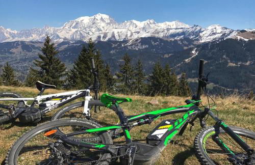 Chez Francine - Photo 64