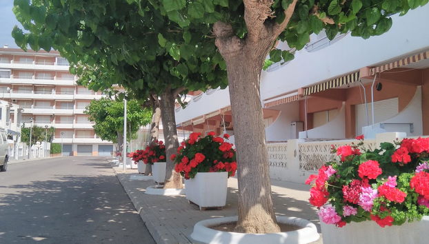 Alpen1 Voramar Apartamento /2 dormitorios - Photo 3