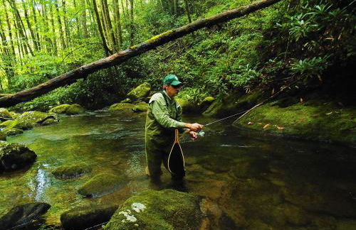 The Owl's Perch - Foto 21