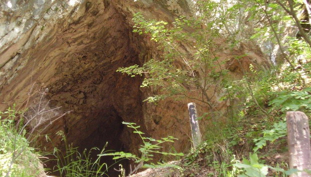 Great Escape to Cuc Phuong National Park From Hanoi- Full-Day Tour - Photo 2