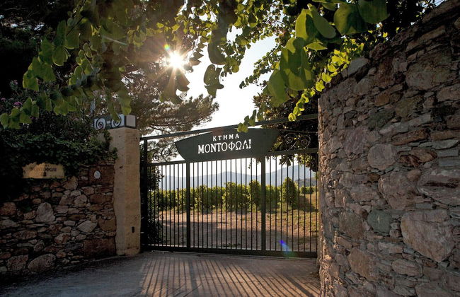 Montofoli Wine Estate - Foto 55