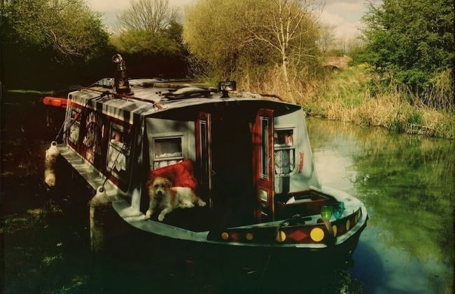 Boutique Bijoux Garden Flat in Vibrant Oval - Foto 35