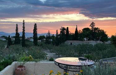 Pistachio House - Foto 25