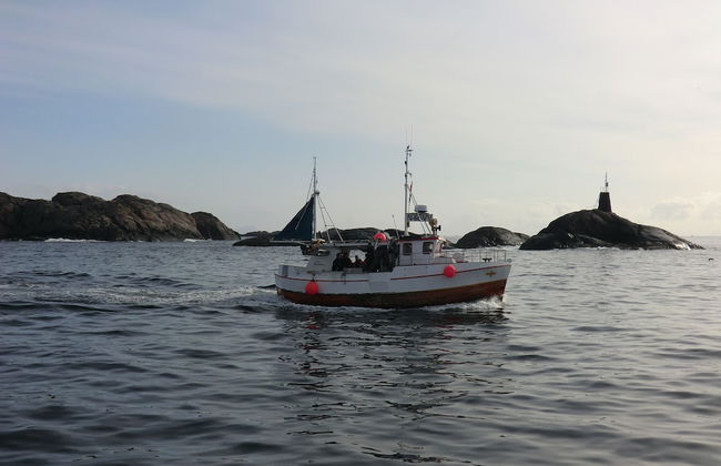 Live Lofoten Fisherman's Cabins - Photo 33