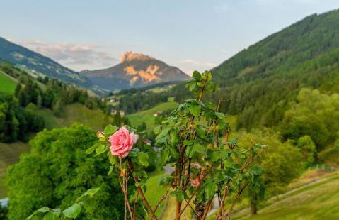 Planerhof Apartment Enzian - Photo 30