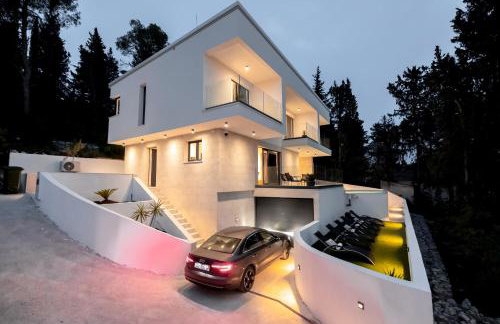 My seagull - Photo 70