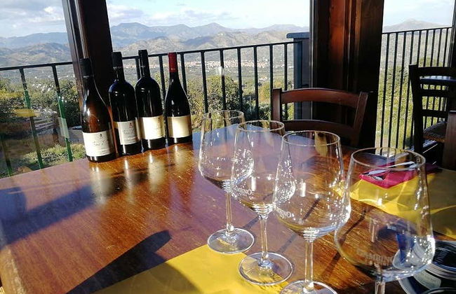 Mount Etna Winery Visit - Photo 6