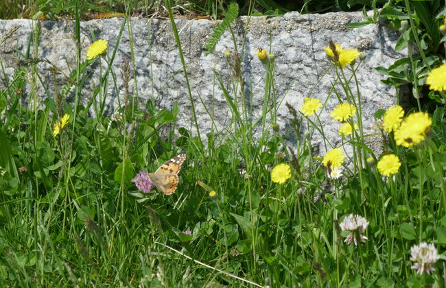 Rustico Bel Panorama - Foto 20