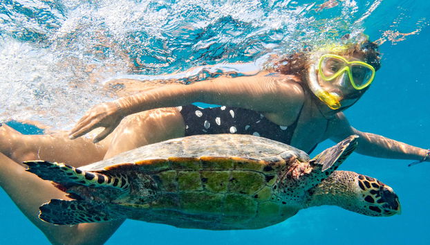 Mindelo Turtle Snorkelling Tour
