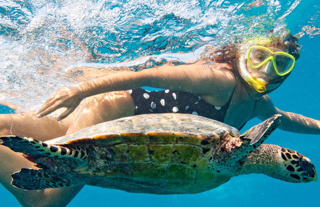 Mindelo Turtle Snorkelling Tour - Photo 5