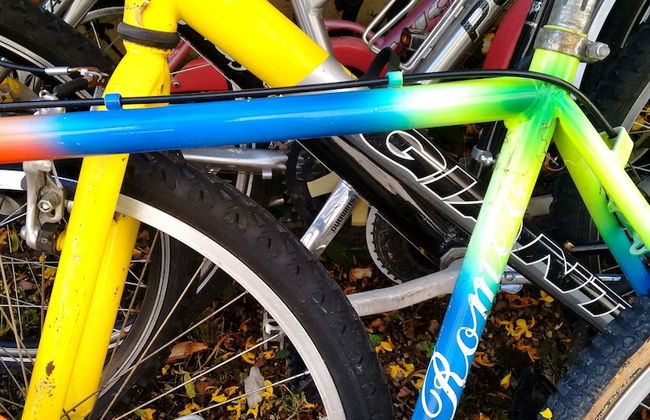 Agriturismo Casa Greppo - Il Mandorlo - Foto 74