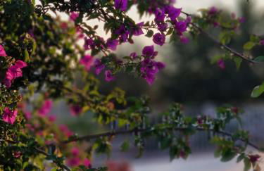 Villa Anna holiday house - Foto 58