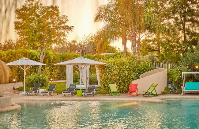 Sa Vinya des Convent Agroturismo - Photo 76