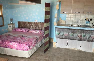 Mini Ottema - Photo 3