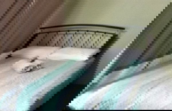 G'day Parks Ararat - Foto 10