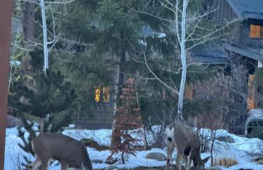 Serenity on 13 Suncadia-luxury 4bd ensuite spa retreat with Sauna, Steam Shower, Jacuzzi, Hot tub, Fire Pit & on-site EV chg - Foto 36