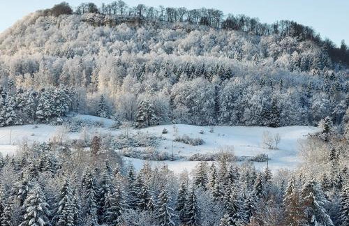 Ferienwohnung Felsenblick - Foto 33