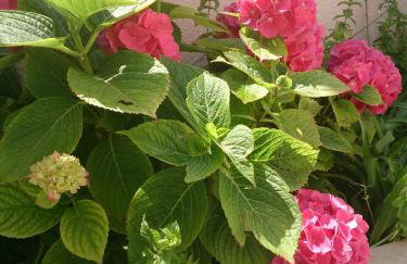 Attic Apartment Iris - Foto 14