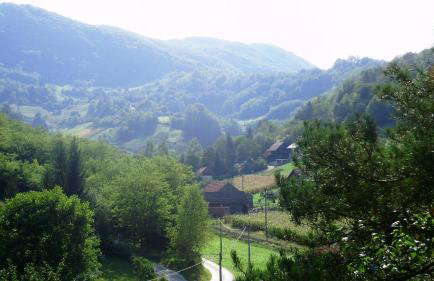 Kuća za odmor Trnac - Foto 30