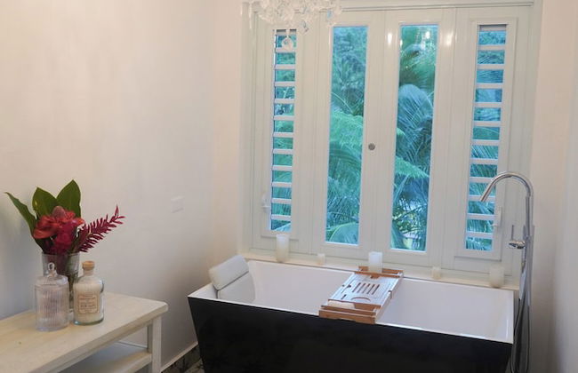 El Yunque Rainforest - Photo 20